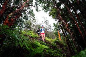 BIB: 
                            <button type="button" onclick="openModal(26202383)" class="btn btn-primary btn-sm float-right btn-popup" data-toggle="modal" data-target=".modal-high-quality">
                        <i class="fas fa-shopping-cart"></i> Add to Cart
                    </button>
                                            <button type="button" onclick="isThisMe(26202383, true)" class="btn btn-success btn-sm float-right btn-popup btn-isme hidden" data-toggle="tooltip" data-placement="bottom" title="นี่คือรูปของคุณใช่ไหม คลิกที่นี่เพื่อเอาเข้าอัลบั้ม">
                        <i class="fas fa-plus"></i> Add to album
                    </button>
                    <button type="button" onclick="isThisMe(26202383, false)" class="btn btn-warning btn-sm float-right btn-popup btn-isnotme hidden">
                        <i class="fas fa-ban"></i> Remove from album
                    </button>